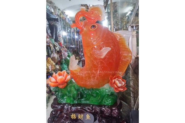 Cá chép màu đỏ